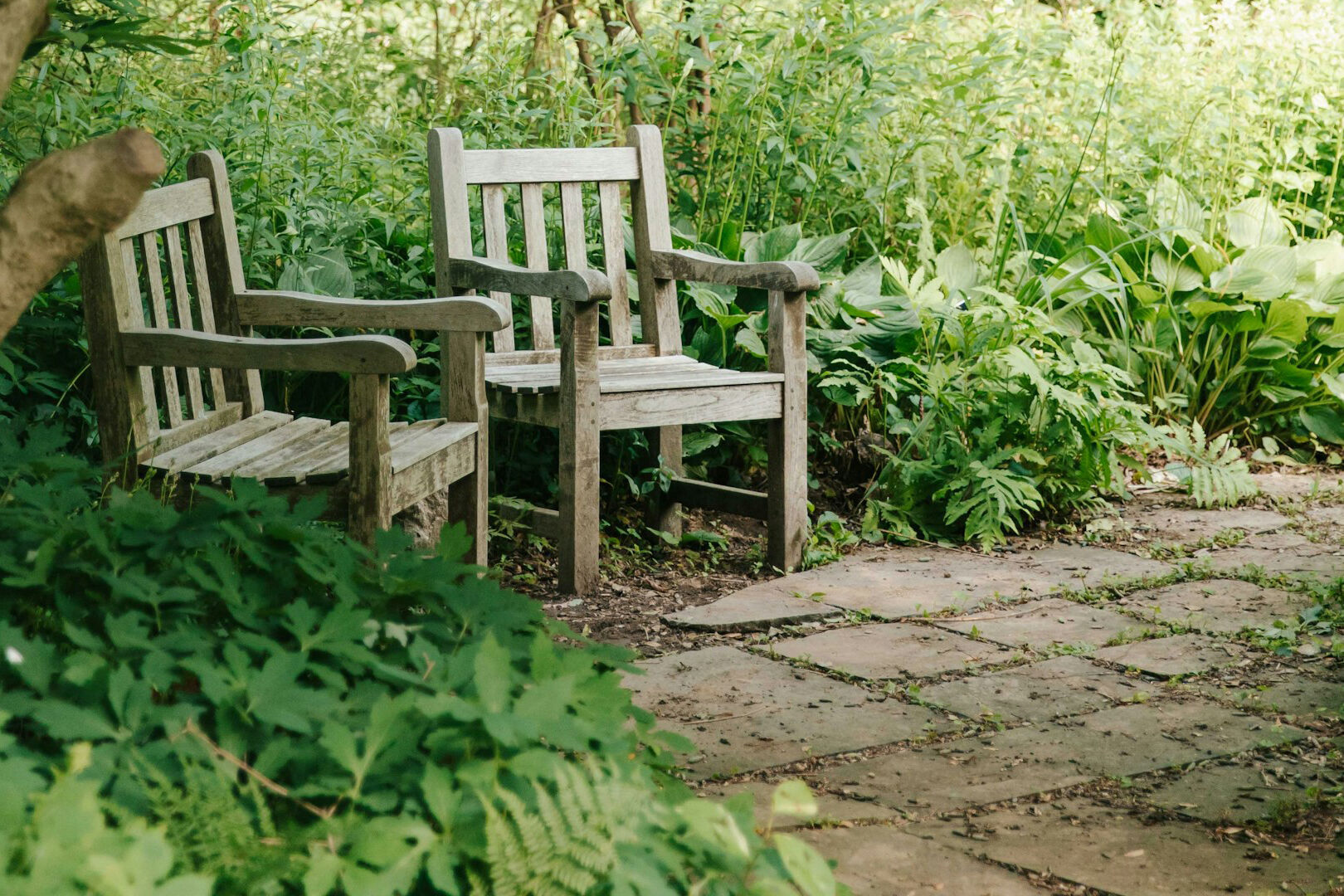 Come curare il giardino dopo le vacanze